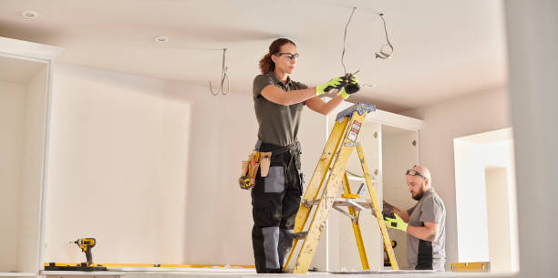 Best Electric Panel Repair  in Frankfort, MI
