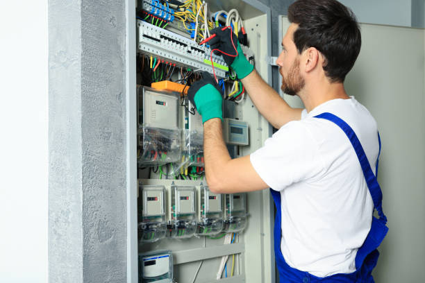 Best Electrician Near Me  in Frankfort, MI