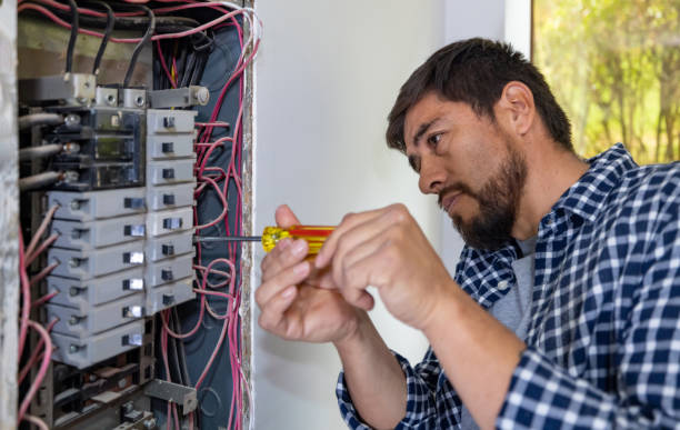 Best Affordable Electrician  in Frankfort, MI